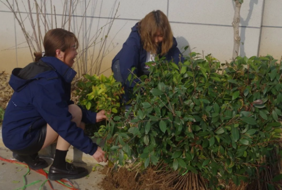 1690945226510098.png image.png